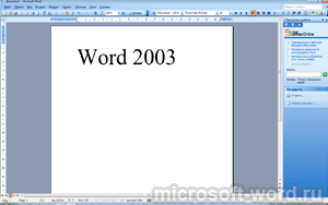 Office Word 2003