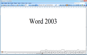 MS Office Word 2003